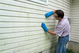 Best Vinyl Siding Installation  in Tipton, IN